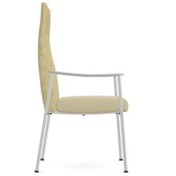 Drea Patient Single In Premium Healthcare Vinyl -Best Furniture Store ALS 225656 6 Champagne Watchtower Side